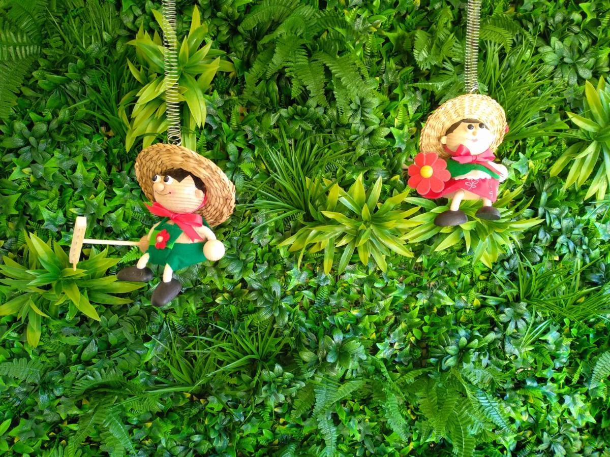 Lupulex Guesthouse ブラガンサ エクステリア 写真